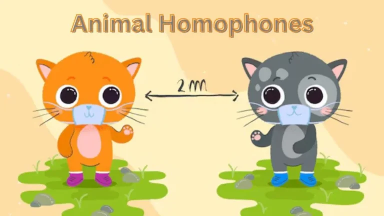 animal homophones new